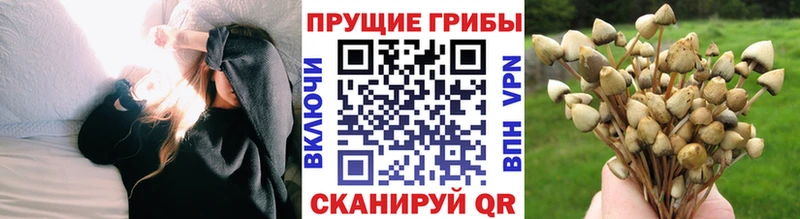 Псилоцибиновые грибы Magic Shrooms  Мурино 